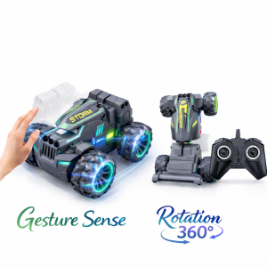 Gesture Control RC Car Pakistan
